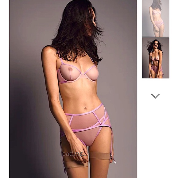 Taryn Winters Plum Blush Kelani Sheer Demi Bra 34B - Picture 2 of 7